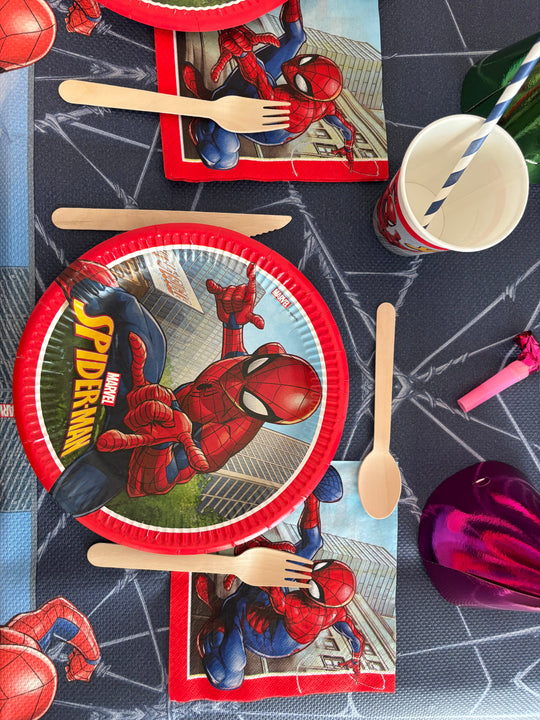 Kit petrecere SPIDERMAN - 24 persoane