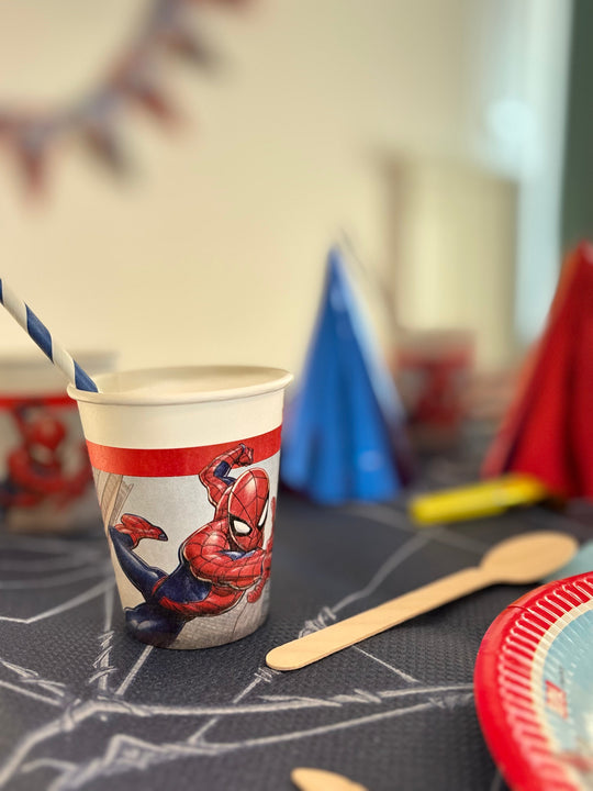 Kit petrecere SPIDERMAN - 30 persoane