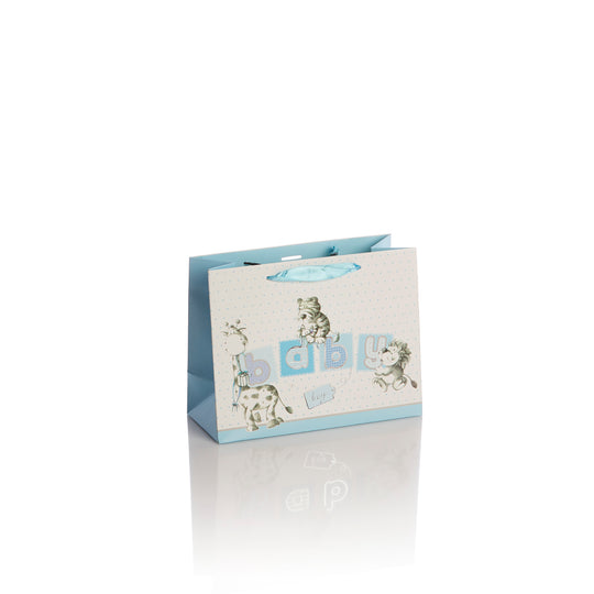 Punga de cadou landscape Baby Boy