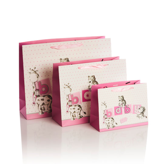 Punga de cadou landscape Baby Girl