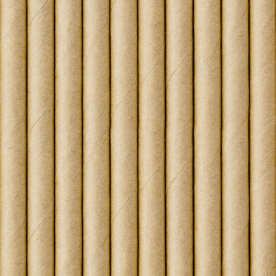 Paie de baut carton 10buc