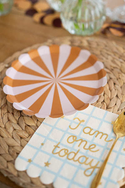 Party plates white with brown stripes