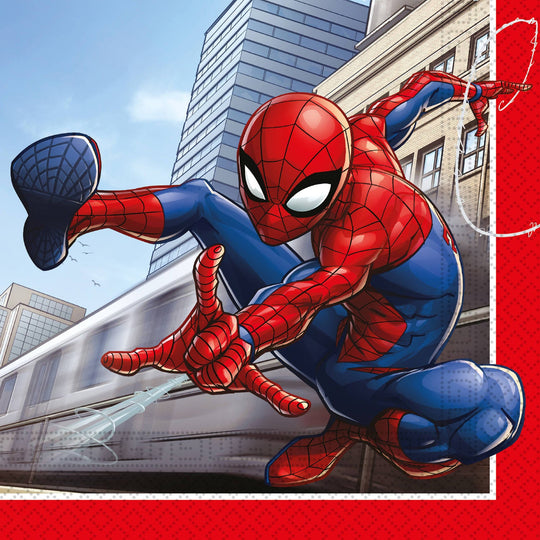 Kit petrecere SPIDERMAN - 18 persoane